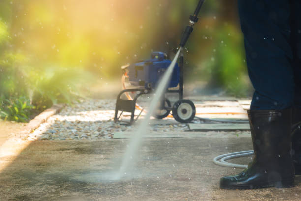 Animal Enclosure Cleaning in Mexico, MO